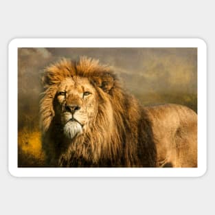 Lion on the alert Sticker